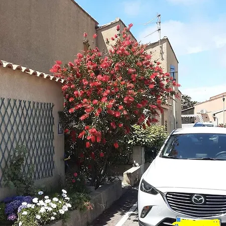 Pavillon Cosy Avec Terrasse à 250m De La ! - Fr-1-409-288